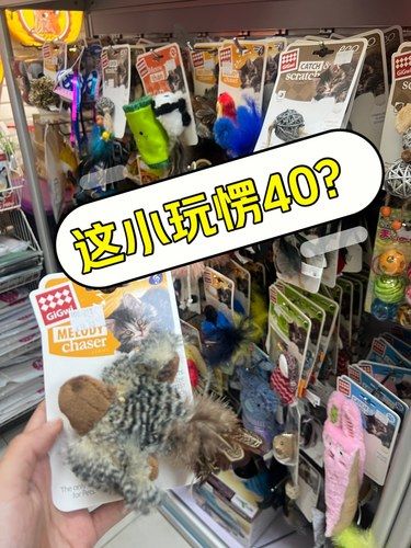 宠物医院套路！