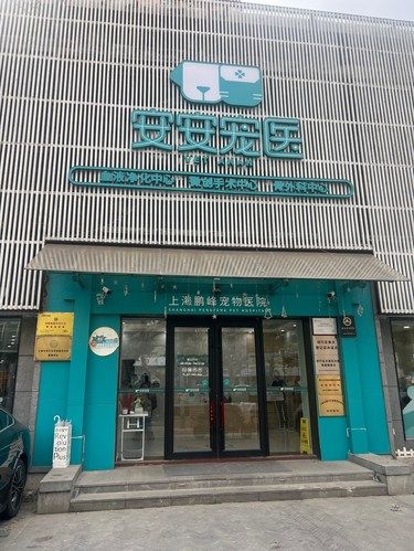 这家医院竟有宠物中医科？♂
