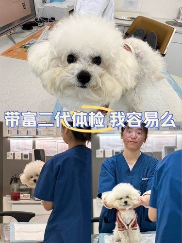 富二代第二次体检