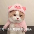 https://p0.meituan.net/userheadpicbackend/ce9d80032b85e38d21a84a0101f782ba98435.jpg%40120w_120h_1e_1c_1l%7Cwatermark%3D0