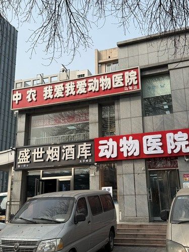 带十岁泰迪爷爷去洗澡啦 