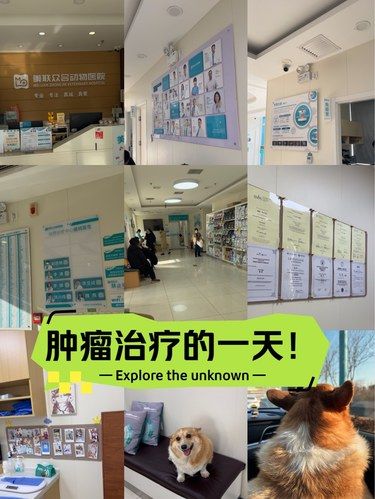 泰勒的肿瘤治疗日记