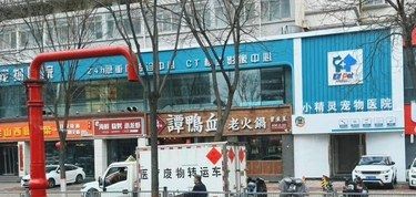 太原宠物医院的天花板！