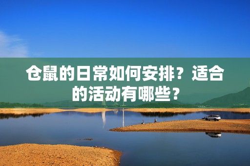 仓鼠的日常如何安排？适合的活动有哪些？-第1张图片-3574手游网