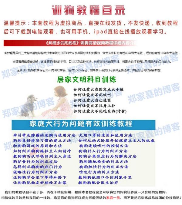 2016自学训狗教程 从零开始训狗狗教材 听话转圈视频方法驯狗学习