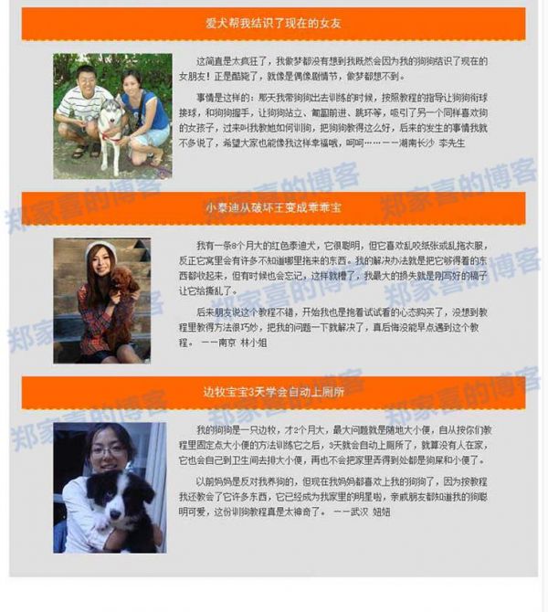 2016自学训狗教程 从零开始训狗狗教材 听话转圈视频方法驯狗学习
