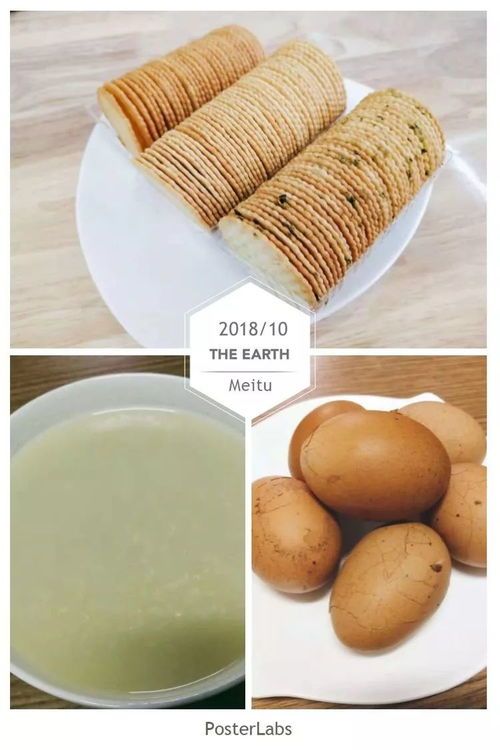 仓鼠红萝卜食用指南,宠物营养食谱推荐