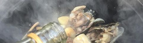 能不能在乌龟缸里养大蒜，宠物龟可以吃大蒜吗