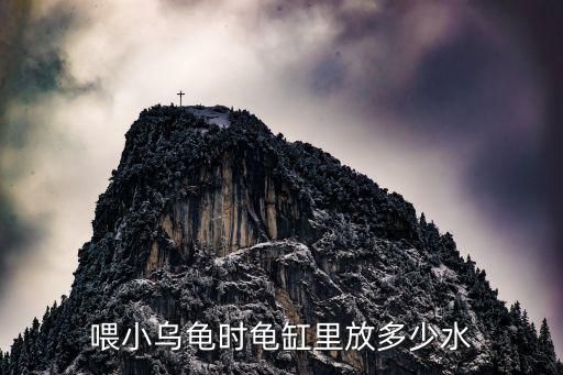 喂小乌龟时龟缸里放多少水