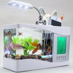 DIY宠物鱼缸，打造温馨水族角