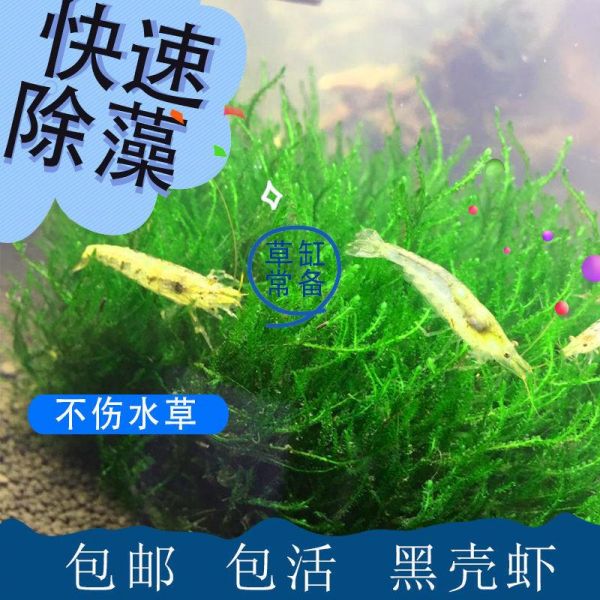 虾只需30.16元