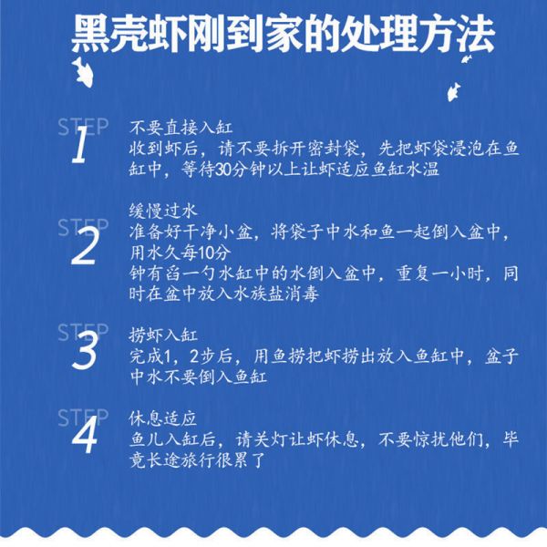 远徒商贸的虾