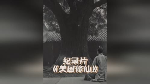美国惊现360岁老人领取社保，难道是元婴大佬？