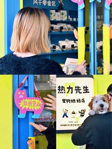 南京的宠物烘焙店！我们开工啦！