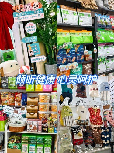 宠物店的暖心事