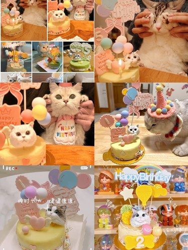 看看ee们买的宠物蛋糕是什么样的？