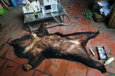专访环境及野生动物摄影冠军:记录人与动物关系