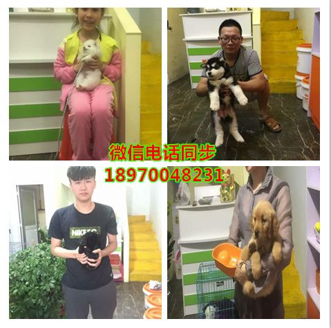 东莞店联系方式