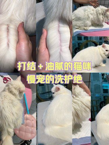 洗前有多狼狈 洗后就有多美丽