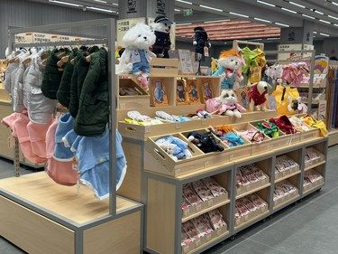 来逛逛东莞Zui大的宠物店