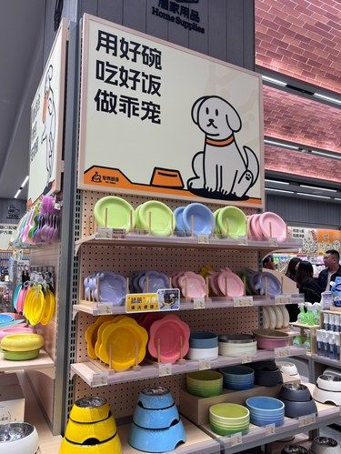 东莞首家宠物新地标