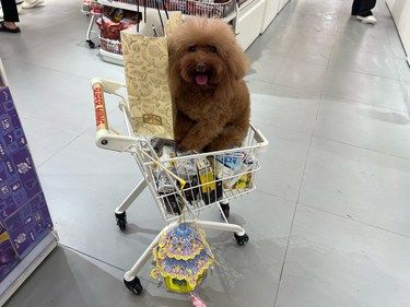 Many妹妹美容洗澡采购日常！！