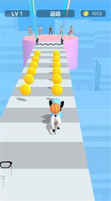 装扮宠物跑酷(Dress Up Pet)