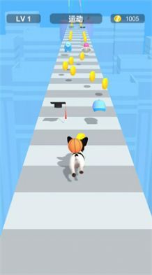 装扮宠物跑酷(Dress Up Pet)