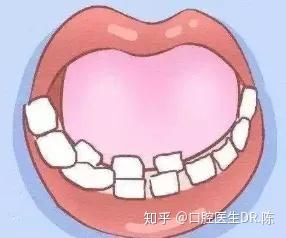 宠物换牙期饮食指南