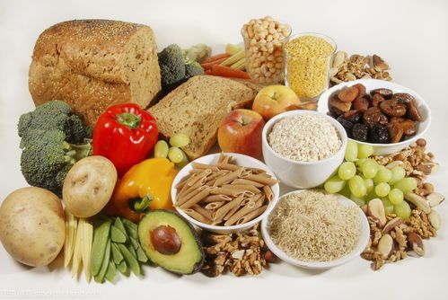 宠物拒食水?速学妙招解饮食难题!