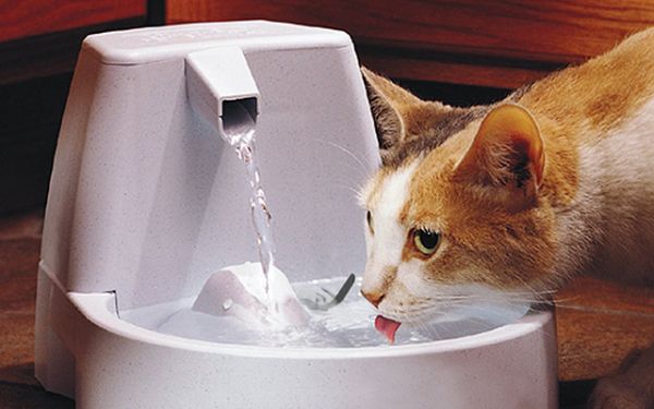 贝适安（PetSafe）DrinkwellOriginal活氧喷泉宠物自动饮水机