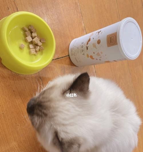 小猫为什么不吃猫粮？——探究营养均衡的重要性