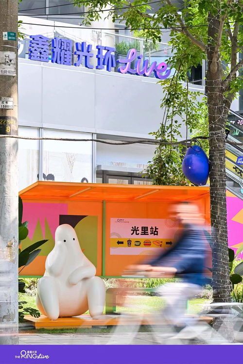 寻鸟儿好去处，宠物店精选推荐