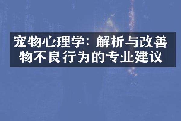 宠物心理学: 解析与改善宠物不良行为的专业建议