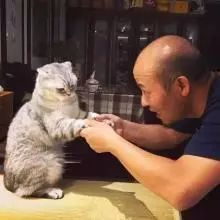 “深夜笼中犬吠,宠物夜语谁解?”