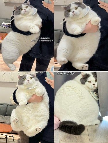 宝宝别动，这一天还是要来的～