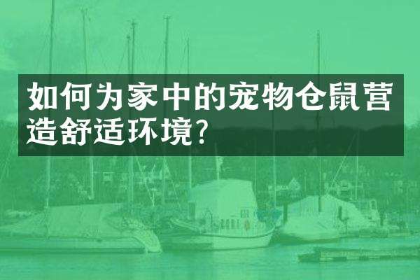 如何为家中的宠物仓鼠营造舒适环境?