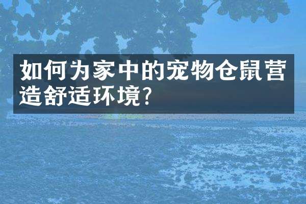 如何为家中的宠物仓鼠营造舒适环境?