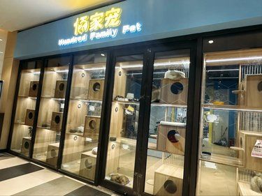 猫狗控必逛！这家宠物店太好逛了