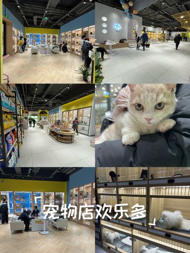 吸宠星人必逛！邂逅梦中情宠