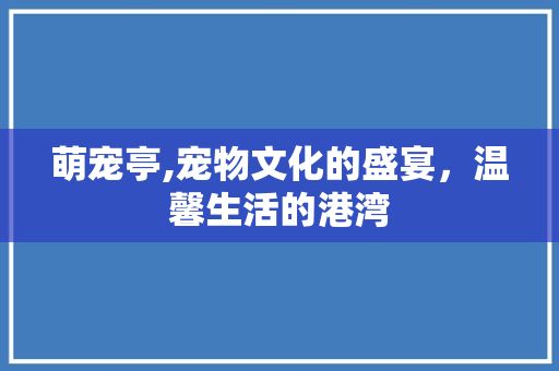 萌宠亭,宠物文化的盛宴，温馨生活的港湾