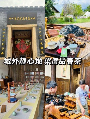 地铁1号线直达在最美古村落梁厝喝杯春茶