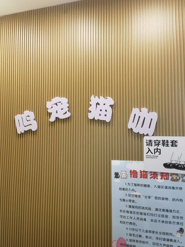 猫咪天地～宠物乐园