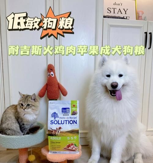 皇恒赛级古牧专用狗粮怎么样？适合哪些犬种？