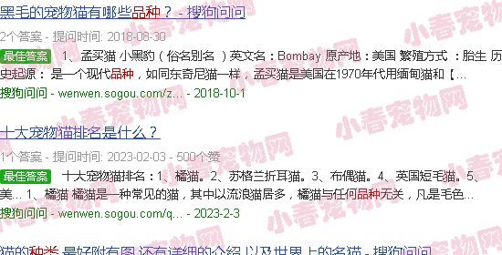 黑猫咪品种大全及图片