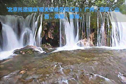 '北京托运猫咪'相关价格区间汇总：广州、西安、山西、承德、珠海。
