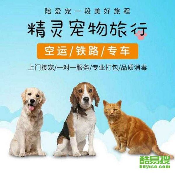 北京宠物托运专家，专业宠物接送。
