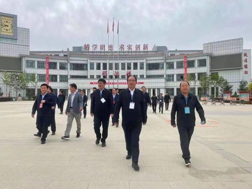 吉娃娃肚脐疙瘩，宠物医院检查处理。