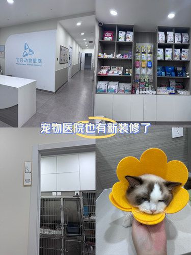 医术超赞 医心更美~