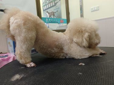 美容师最怕遇到这样的吧[流泪][流泪]